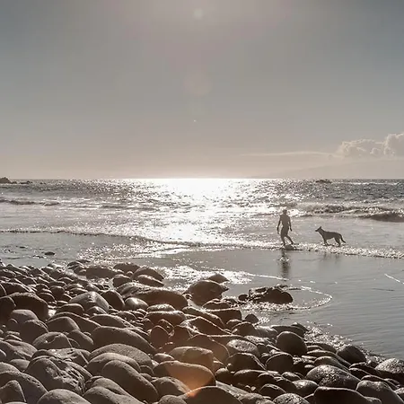 Beatifull Sea View In Pto Cruz
