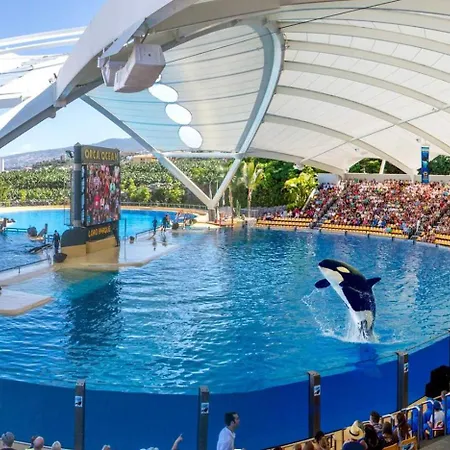 Beatifull Sea View In Pto Cruz * פוארטו דה לה קרוז