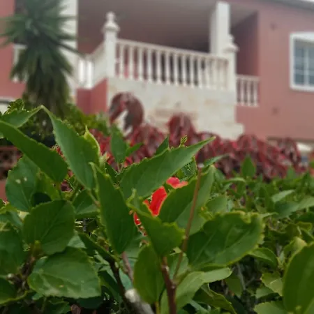 Apartment Beatifull Sea View In Pto Cruz