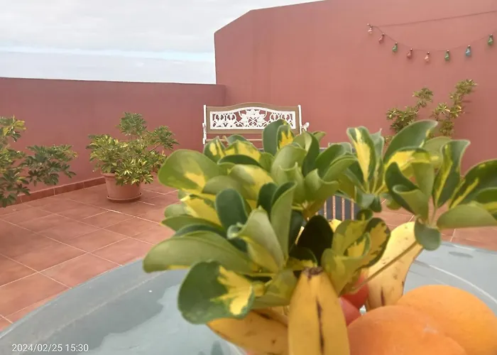 Beatifull Sea View In Pto Cruz *