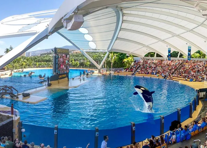 Beatifull Sea View In Pto Cruz * Пуэрто-де-ла-Крус